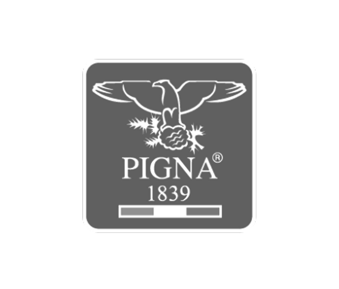 Pigna