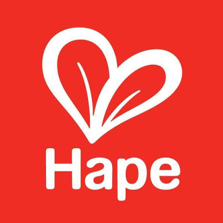 Hape Toys