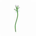 WOODLAND TALES fiore in vetro bacche bianche