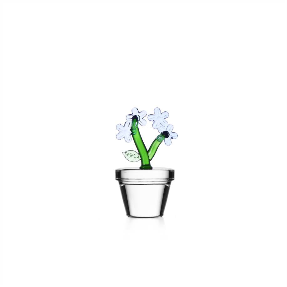 ICHENDORF -fermacarte/segnaposto fiore azzurro
