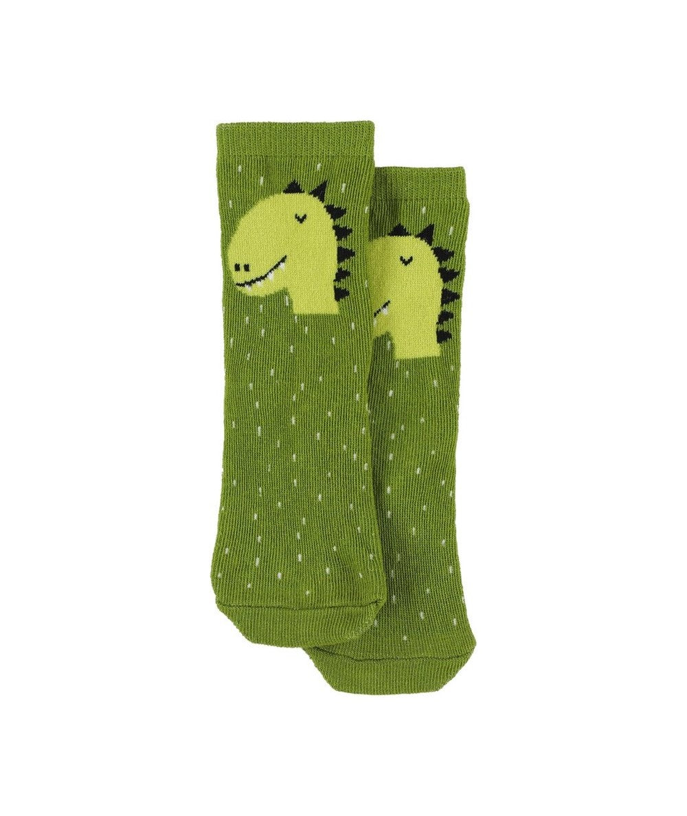 Socks 2-pack | 22/24 - Mr. Dino