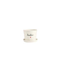 VASO D15X12CM BASILICO CUORE