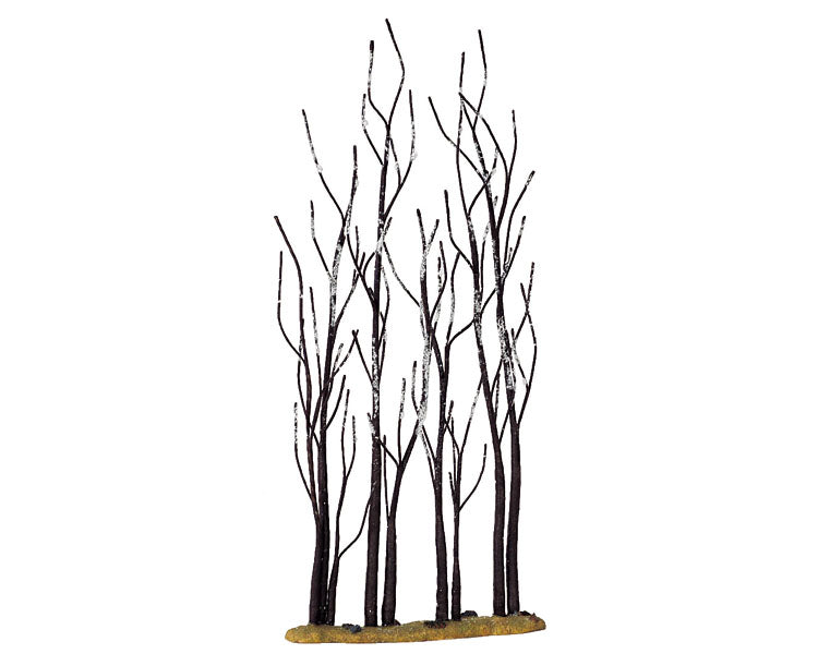 STAND OF SYCAMORE 14614-AA