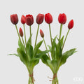 EDG Mazzo di Tulipani Gommati Olis, H40 cm, Chiusi