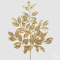 EDG - GARDENIA RAMO H.80