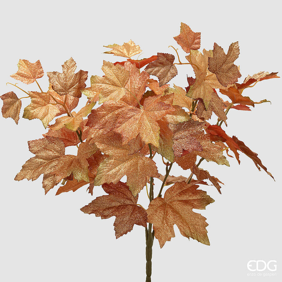 EDG - ACERO CESPUGLIO X5 H.40 D.35