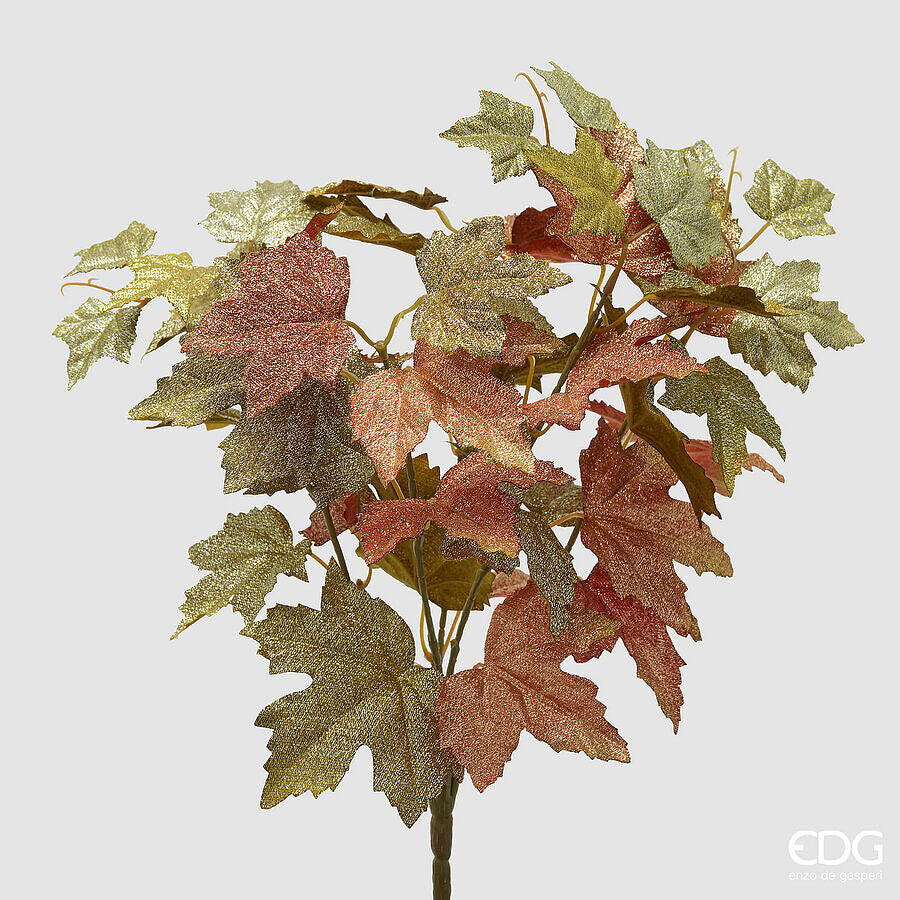 EDG - ACERO CESPUGLIO X5 H.40 D.35