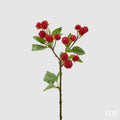 EDG Ramo More X15, H40 cm