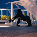 Kong Black Low Voltage EU
