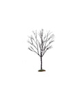 BUTTERNUT TREE, SMALL 64097-AA