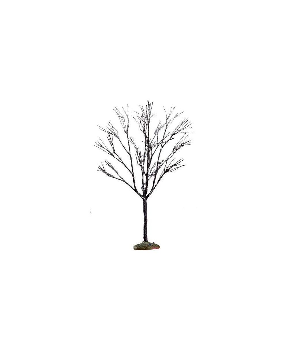 BUTTERNUT TREE, SMALL 64097-AA