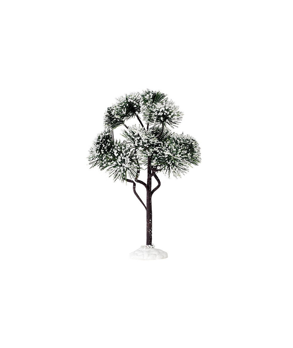 MOUNTAIN PINE, LARGE 74174-AA