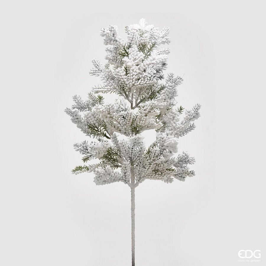 EDG Pino Superneve Ramo, H66 cm