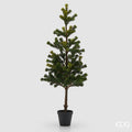 EDG Pino Decorativo con Vaso, H80 cm
