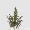 EDG - CRYPTOMERIA RAMO H.44