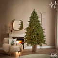 EDG Pino Imperial New con 4.000 MiniLED, H210 × D140 cm