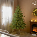 EDG Pino Lucciole con 3.100 LED a Riso, H210 × D145 cm