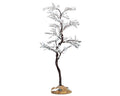 MORNING DEW TREE, MEDIUM 74250-AA