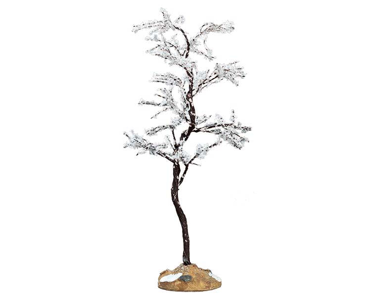 MORNING DEW TREE, MEDIUM 74250-AA