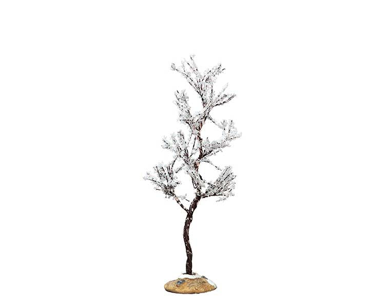 MORNING DEW TREE, SMALL 74251-AA