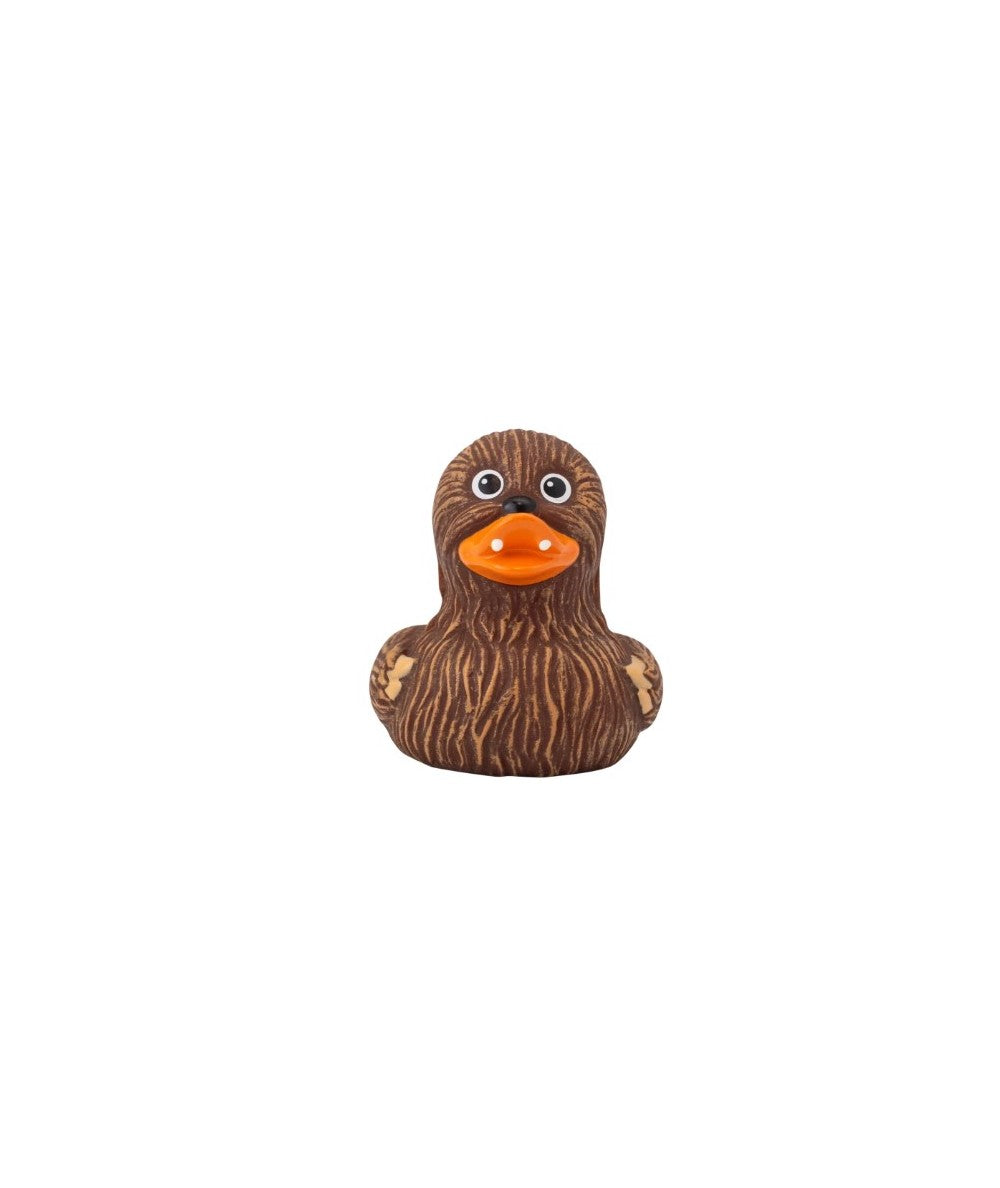 WHOOPING DUCK