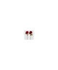 ROSA REX APERT H52 C3
