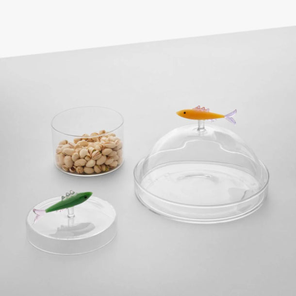 Ichendorf Milano – Marine Garden Cupola con Piatto Sardina Ambra Clear