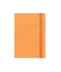 12-MONTH DIARY - 2025 - MEDIUM DAILY DIARY - APRICOT CRUSH