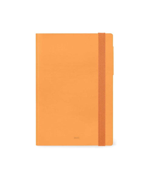 12-MONTH DIARY - 2025 - MEDIUM DAILY DIARY - APRICOT CRUSH