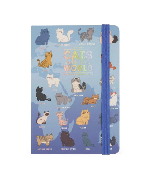 12-MONTH DIARY - 2025 - MEDIUM WEEKLY DIARY - KITTY