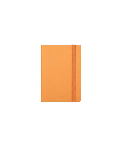 12-MONTH DIARY - 2025 - SMALL DAILY DIARY - APRICOT CRUSH