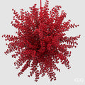 EDG - MAZZO ILEX