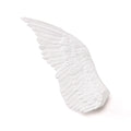 SELETTI - CENTROTAVOLA IN FIBRA DI VETRO Memorabilia Mvsevm Wing Sinistra Cm.80x32h.17