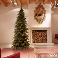 EDG Pino Luxury New 240 cm con 4000 mini LED bianco caldo