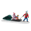 BRINGING HOME OUR TREE 33628-AA