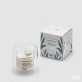 CANDELA SILHOUETTE CON PROFUMO ALOE E SEA SALT  H.7,5 D.8 C4