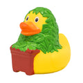 CANNABIS DUCK