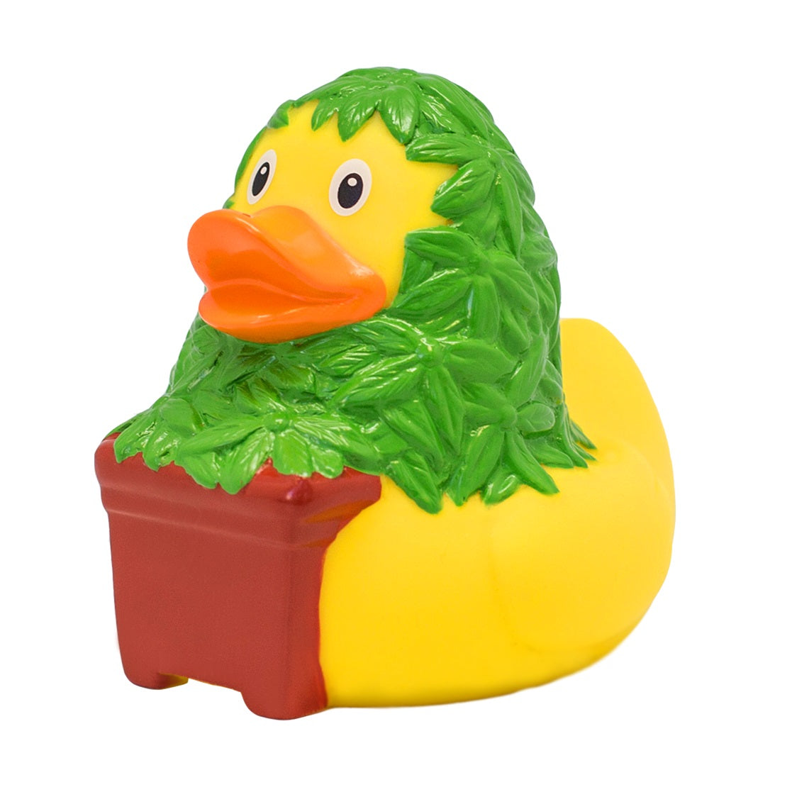 CANNABIS DUCK