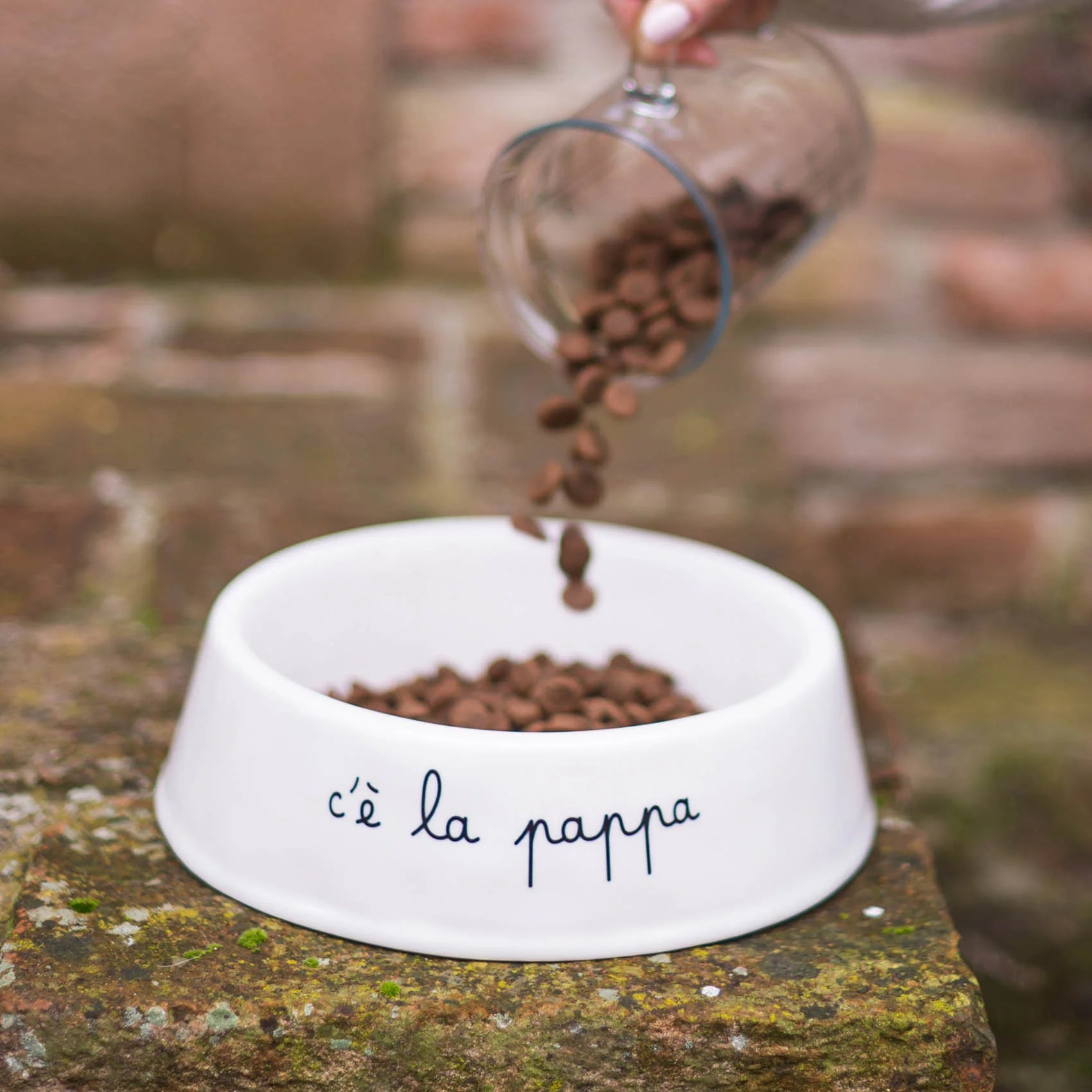 SIMPLE DAY CIOTOLA C'E' LA PAPPA GRANDE