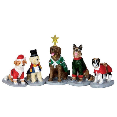 COSTUMED CANINES, SET OF 5 32126-AA