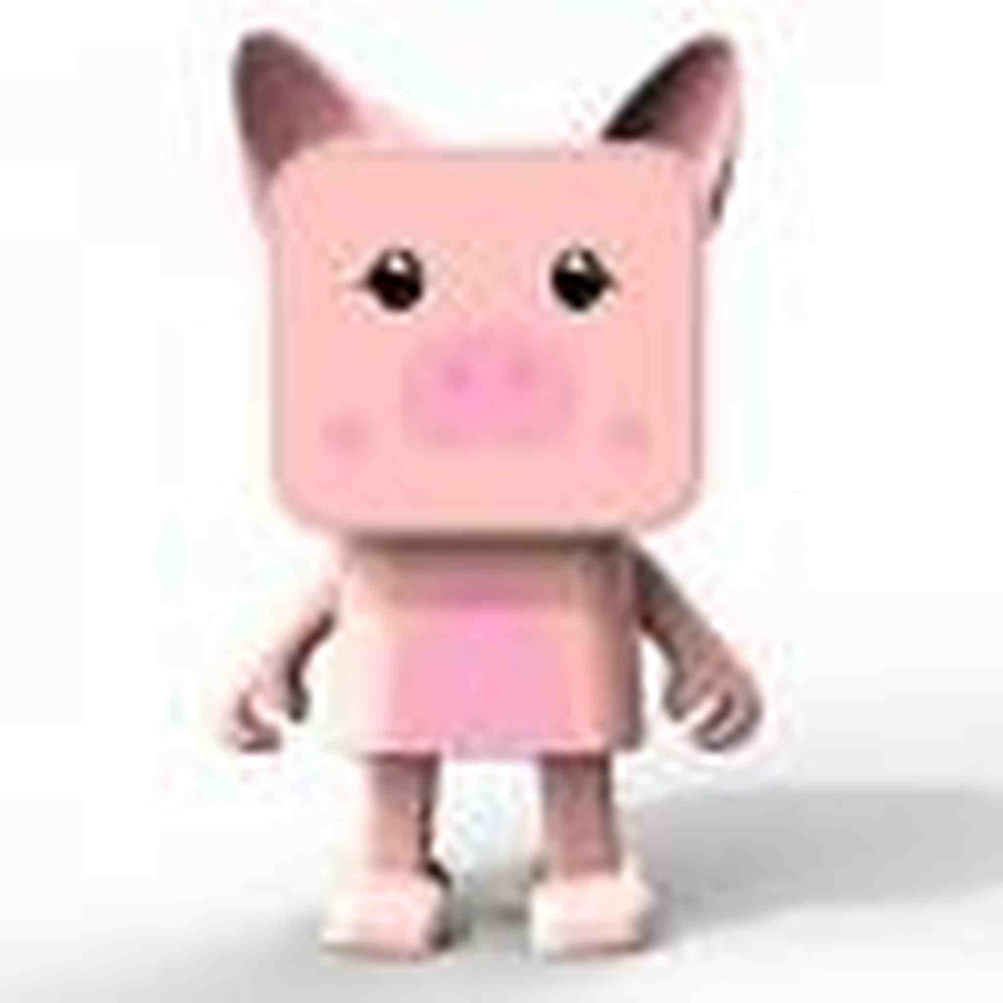 DANCING PIG - BLUETOOTH SPEAKER
