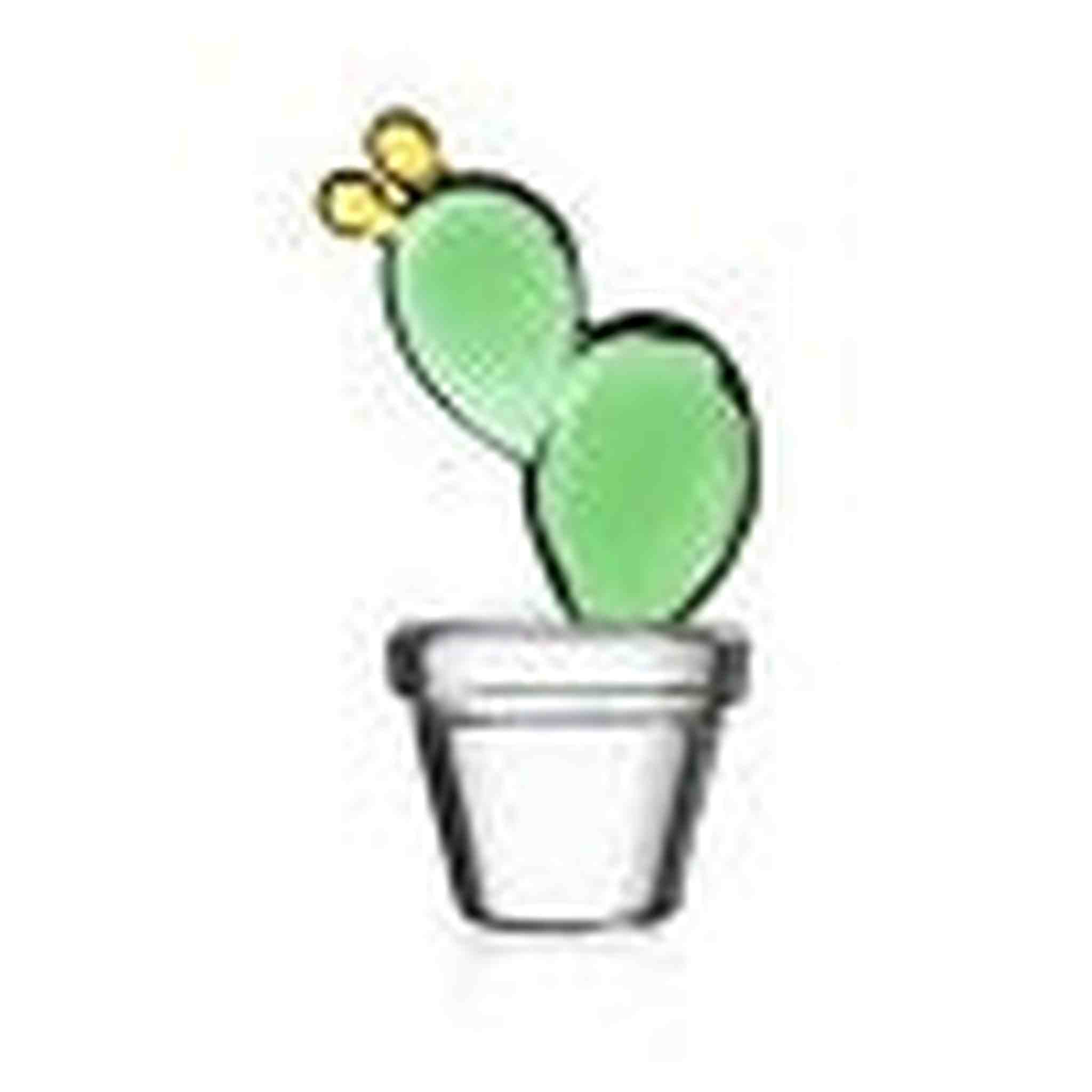 DESERT PLANTS fermacarte cactus fior/gia