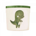 DINOSAUR - STORAGE BIN