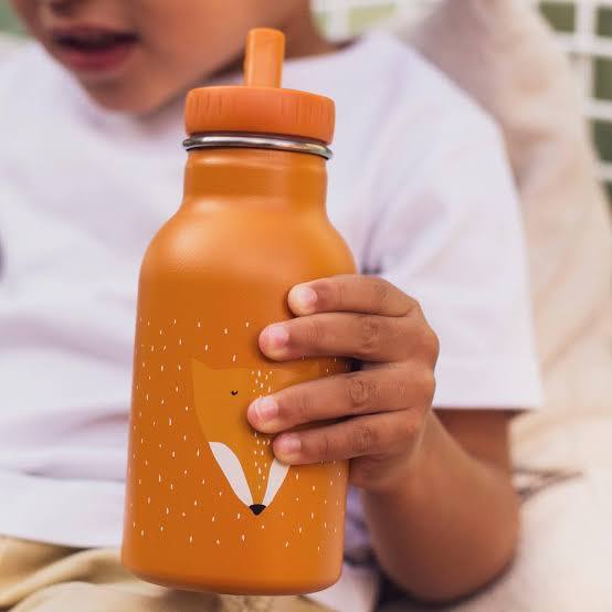 Bottle 350ml - Mr. Fox
