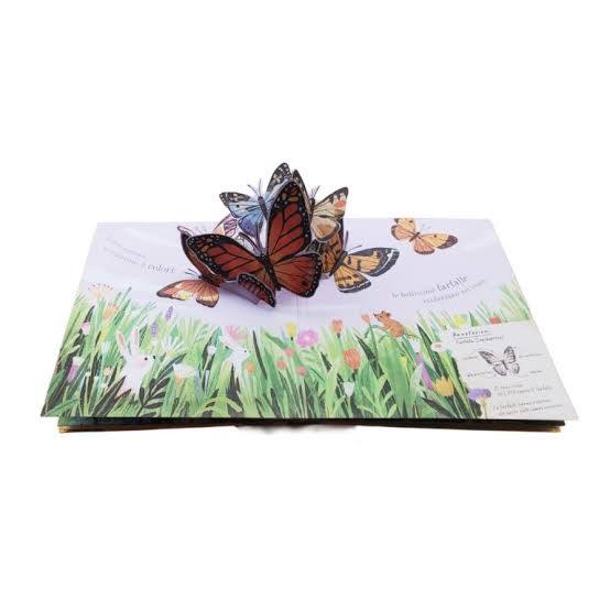 SASSI - PICTURE BOOKS - POP-UP DELLA NATURA.PICCOLE CREATURE