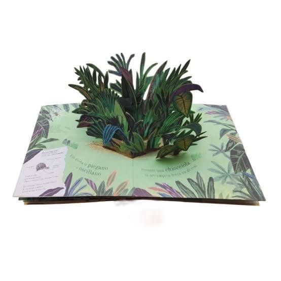 SASSI - PICTURE BOOKS - POP-UP DELLA NATURA.PICCOLE CREATURE