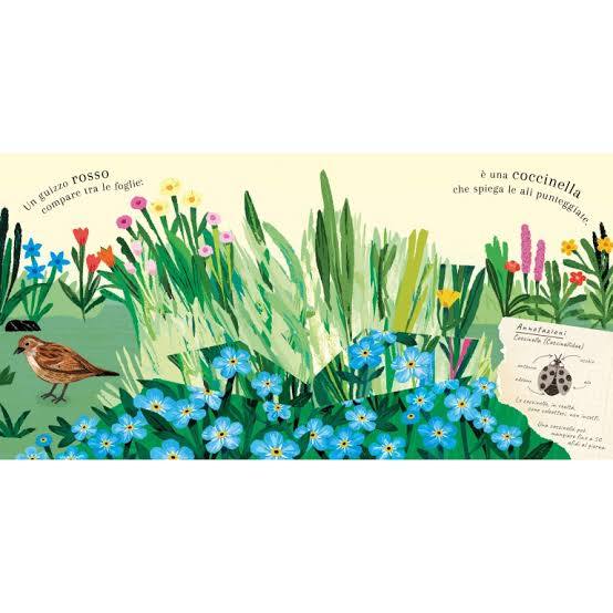 SASSI - PICTURE BOOKS - POP-UP DELLA NATURA.PICCOLE CREATURE