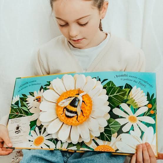 SASSI - PICTURE BOOKS - POP-UP DELLA NATURA.PICCOLE CREATURE