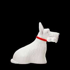 QUEEBOO - CANE Scottie White
