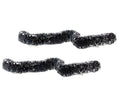 FLEXIBLE HEDGEROW, SET OF 2 24996-AA